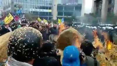 Wheat machine gun being used in farmers' protest