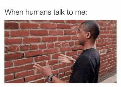 I swear. Humans are such clowns when handling existence: