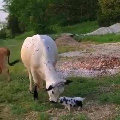 What is this tiny thing?