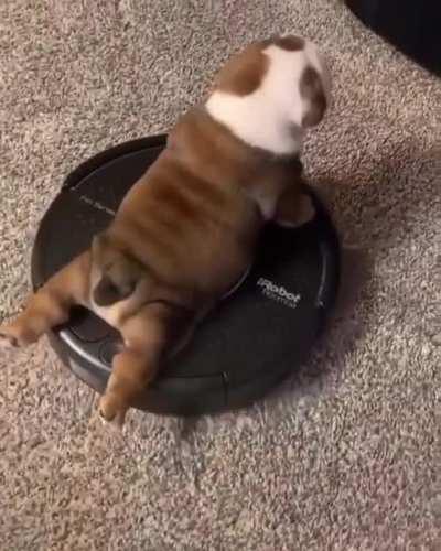 Just going for a lil ride...