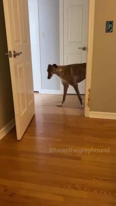 Bean’s up to something