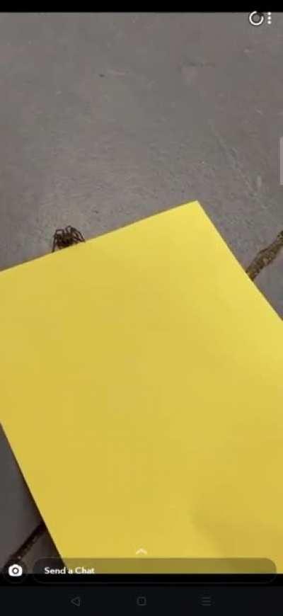 Kicking out an anti-masker Part Two (OC)