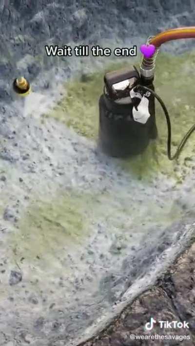 Wait until the end for cuteness