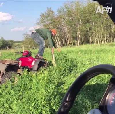 its backyard farming stuff, but still so., much., osha.