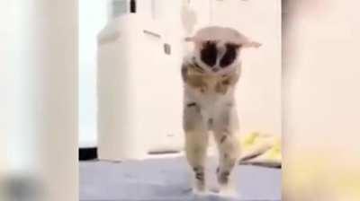 When you are repairing something and you lose a screw