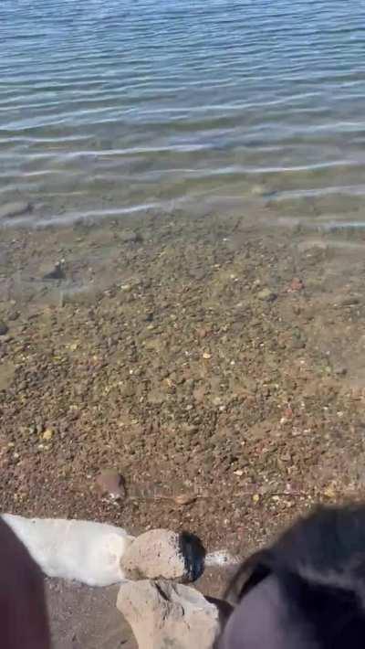 I wanted to suck his cock somewhere we might get caught ;)