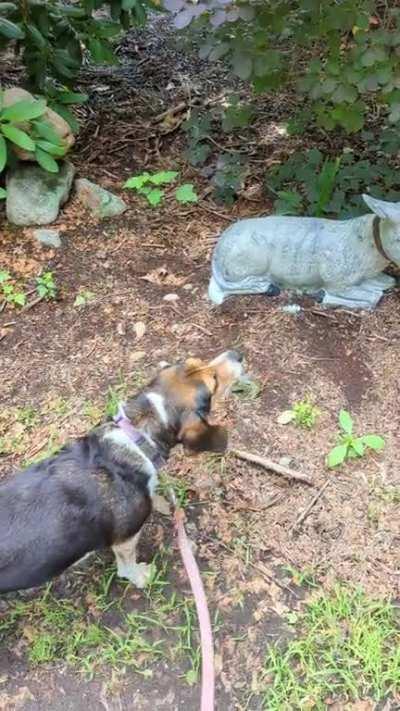 Abby made a new friend.