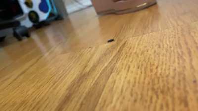 Guess who? sexy pink wedge sandals crush another fly