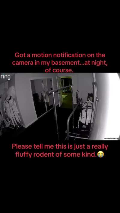 Ring Camera in basement keeps detecting motion…