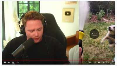 Watching stream be like