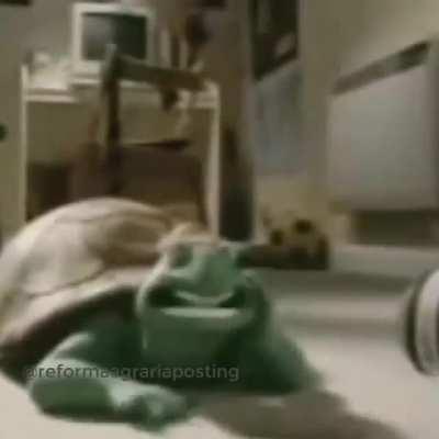 está va está va pal cmsr que dejo de meterle tazos a las sabritas