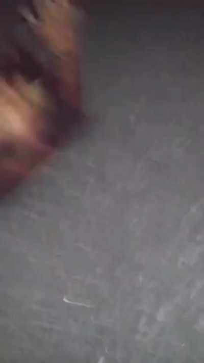 She Mounted Her & Fucked Her Face Up