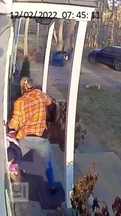 Racoon ain't just a fluffy furrrr! [Legend]