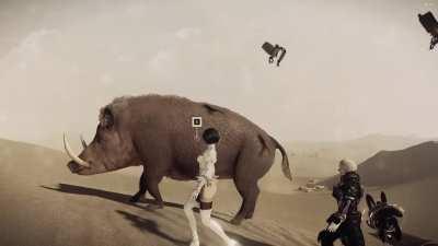 Someone wants to hog 2b in the desert.