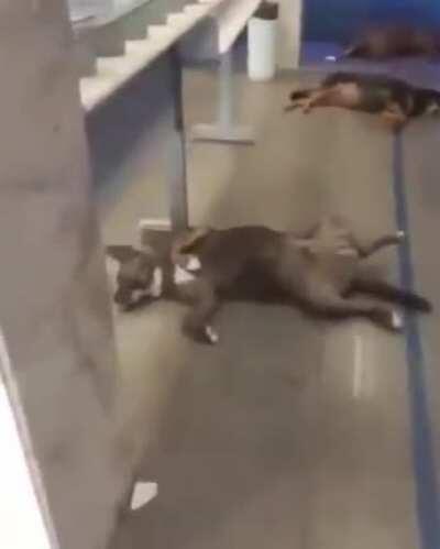 Só no ar condicionado hein!