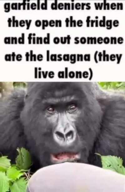 Must have been the wind