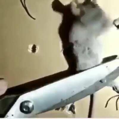 [NSFW] holy shit this is fucked