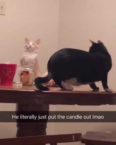 It’s all about Speed and Timing