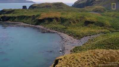 Hey, baby. How 'bout you and me... seal the deal ;)