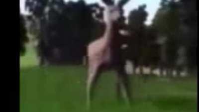 I'm 15 and this is yeet