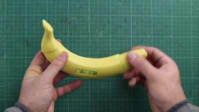 The one and only banana for scale.