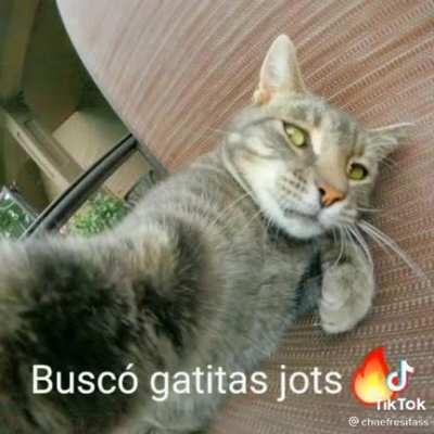 Lo que estaba haciendo la pecky cuando se escapo xd