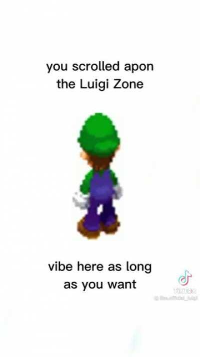 Vibin luigi