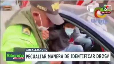 Cop testing drugs the 