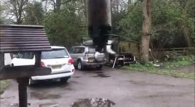 To eat some bird food