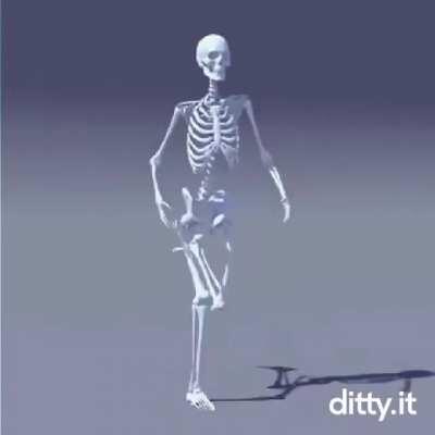 corre o corno ta vindo!!