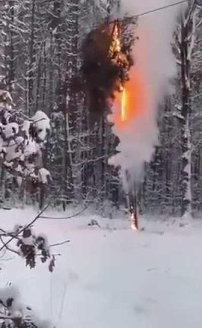 A tree collapses on a power line in Poland, Dezember 2022