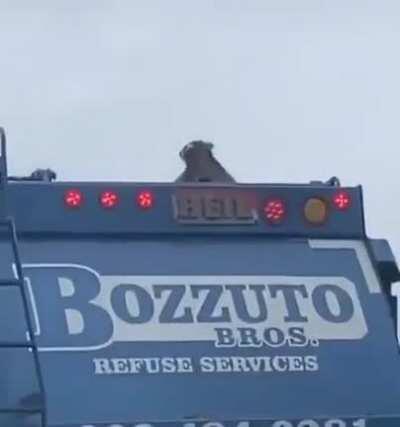 Riding the garbage truck