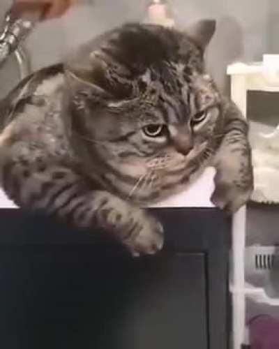 Wet Chonnc not happy!