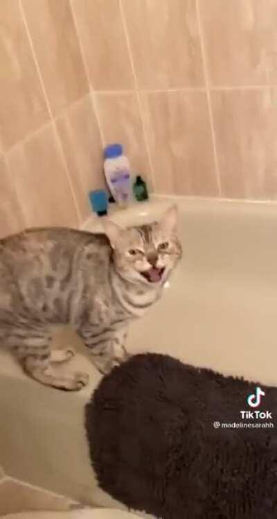 That is a full on argument