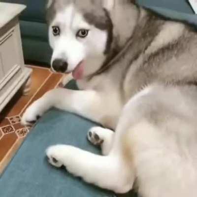 Leave Moon moon alone!