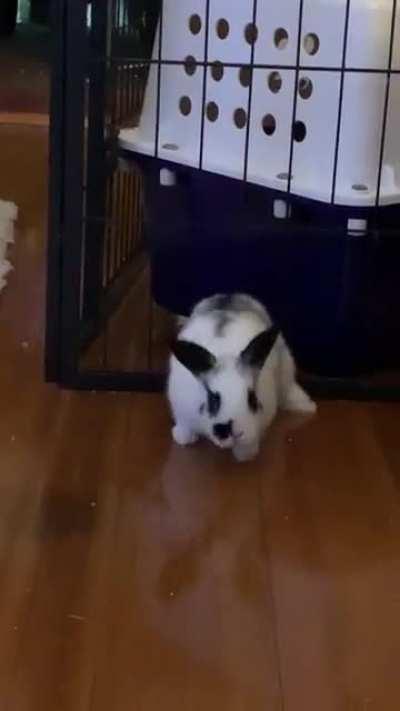 Mum forgot how small babies are 😂