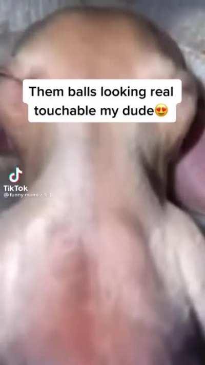 Them balls looking real sniffable