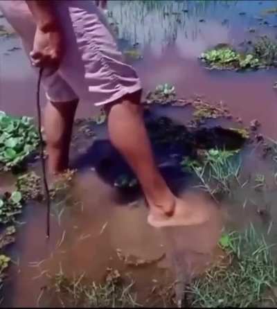 Why do stingrays make terrible secret agents? Because they always make a big splash wherever they go!