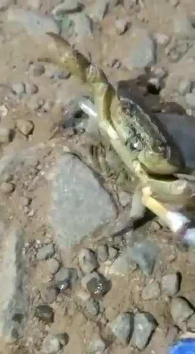 Unfortunately for the ticks I don't go to bars, I'm not alcoholic, I don't go to the disco (I can't even dance Sardinian dance), I've never used drugs, I'm not a hunter and I like women. But I smoke like two Turks.