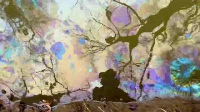 Highly contaminated water in Ohio