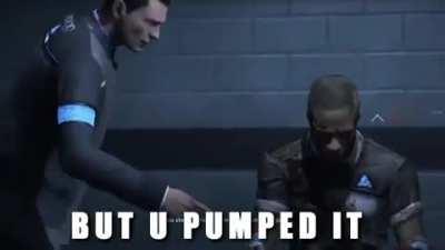 the average furry investigation