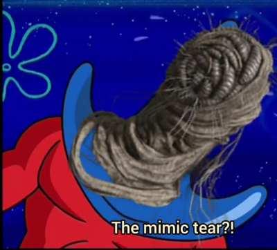 The Tarnished summoning the homies for the big fight 