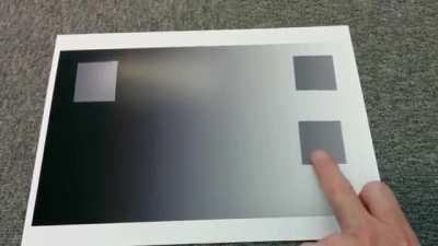 The Way Our Eyes See This