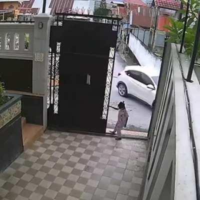 Gate.exe not working