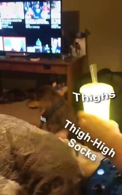 The Absolute Territory.