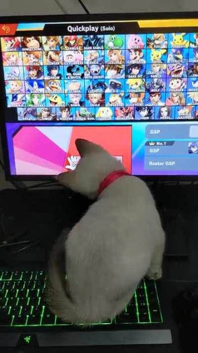 Me trying to play smash bros with a new kitten in the house.