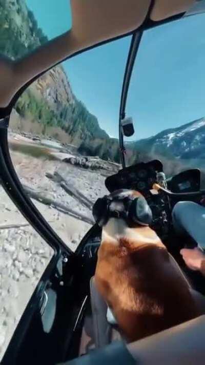 Wanna go for a fly boy?