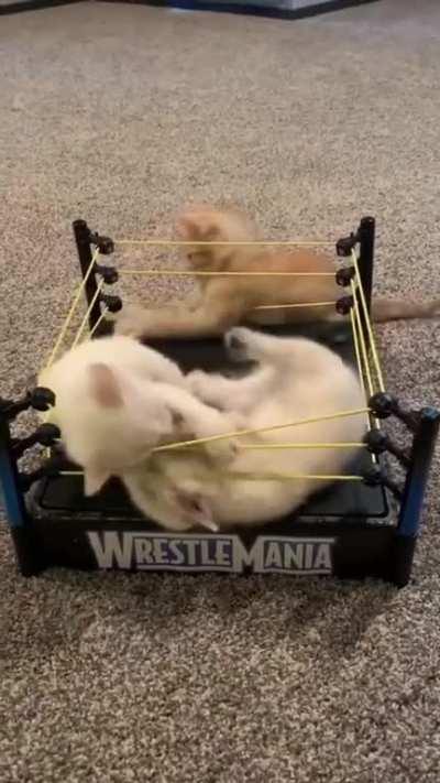 And people said wrestling was all just fake