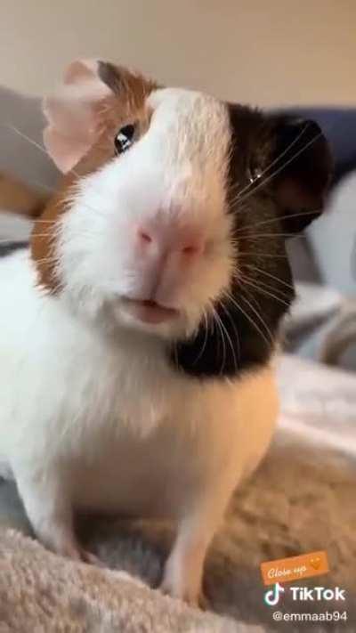 Откройте, полиция!