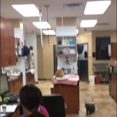 Catculations were correct.